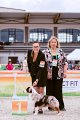 Интернациональная выставка собак CACIB – кобель Silver Dream Mini's French Lover