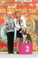 Dog Show CAC 1st Group –  Rune Ave Dinornis De L'univers D'Evine