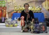 Regional Dog Show CAC –  Trails Ends Tatem