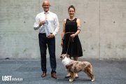 Интернациональная выставка собак CACIB – кобель Aussies Wörthersee 'Bout 500 Miles 2LR
