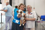 National Dog Show CAC –  Ave Dinornis Trigger