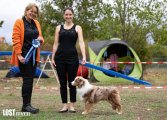 Региональная выставка собак CAC – кобель Aussies Wörthersee 'Bout 500 Miles 2LR