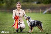 Regional Dog Show CAC –  Lost River Beam Of Moonlight