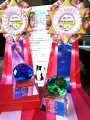 Dog Show CAC 1st Group + Speciality –  Alshain By Bauer