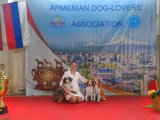 Интернациональная выставка собак CACIB – Армения, Yerevan (Yerevan)