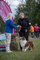 Национальная выставка собак CAC – Финляндия, Vihti (Уусимаа)