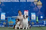 Интернациональная выставка собак CACIB – кобель Ivie Farms Kings And The Jester