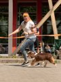 Dog Show CAC 1st Group – Russia, Kazan (Tatarstan)