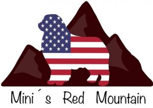 Mini's Red Mountain 
