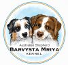 Barvysta Mriya