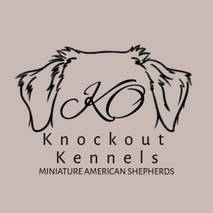 KnockOut Kennels