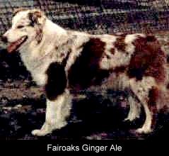 Fairoaks Ginger Ale