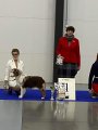 National Dog Show CAC –  Ave Dinornis Perfect World