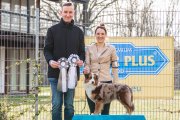 National Dog Show CAC –  Aussies Wörthersee 'Bout 500 Miles 2LR