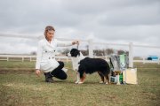 Republican Dog Show of Herding breeds – Belarus, Mahilyow (Mogilev)
