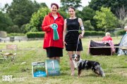Regional Dog Show CAC –  Lost River Beam Of Moonlight