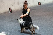 International Dog Show CACIB –  Lost River Beam Of Moonlight