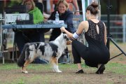Regional Dog Show CAC –  Lost River Bellamy Kom Spacekru