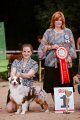Dog Show CAC 1st Group –  Silver Dream Mini's French Lover