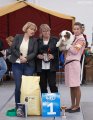 Regional Dog Show CAC – Russia, Saint Petersburg (Leningrad)