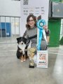 Regional Dog Show CAC –  Ave Dinornis Warlock Of Dreams