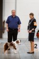 Dog Show CAC 1st Group + Speciality –  Ave Dinornis Trigger