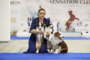 National Dog Show CAC –  Ave Dinornis Vie Point