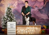 Dog Show CAC 1st Group – Russia, Moscow (MO)