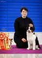National Dog Show CAC – Russia, Moscow (MO)