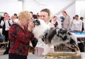 Dog Show CAC 1st Group – Russia, Perm (Permskaya Oblast)