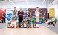 Dog Show CAC 1st Group –  Ave Dinornis Tatem Of My Tribe