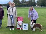 National Dog Show CAC – Finland, Turku (Southwest Finland)