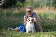 Dog Show CAC 1st Group + Speciality –  Ave Dinornis Game Without Rules