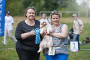 Dog Show CAC 1st Group + Speciality –  Ave Dinornis Game Without Rules