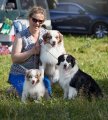 Dog Show CAC 1st Group + Speciality –  Ave Dinornis Trigger
