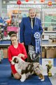 National Dog Show CAC –  Silver Dream Mini's French Lover