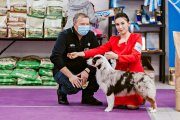 Club Dog Show Candidat in Club Winner –  Silver Dream Mini's French Lover