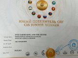 WINNER CIS – Belarus, Minsk (Minsk)