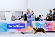 International Dog Show CACIB –  Rune Ave Dinornis De L'univers D'Evine